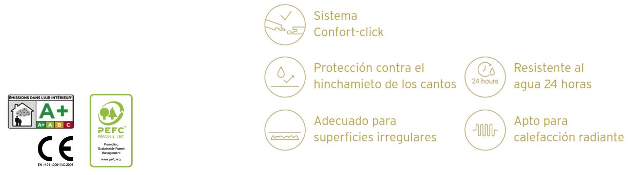 Caracteristicas basic 600