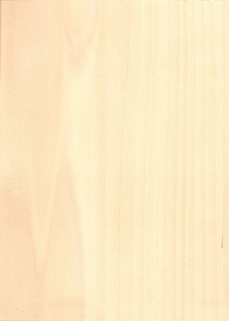 CHAPA EMPALMADA HAYA