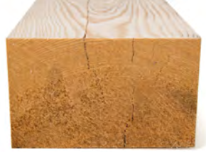 VIGAS ABETO-PAIS > 6000