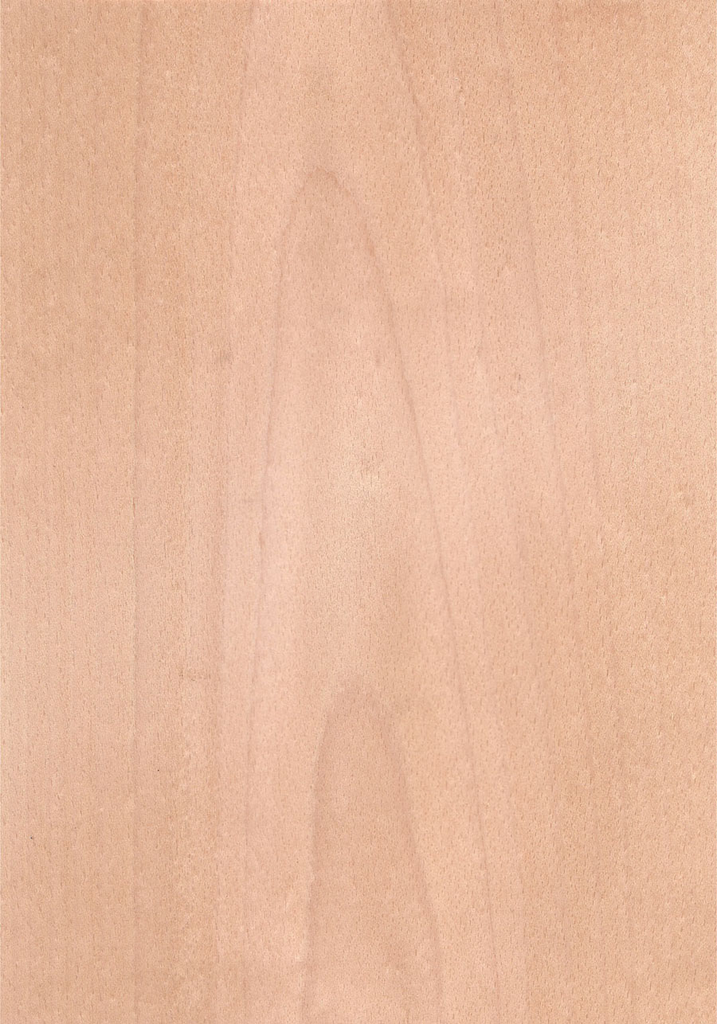 RECHAPADO-AGL.HAYA VAPOR-1/C1ª 16mm 2600x1220