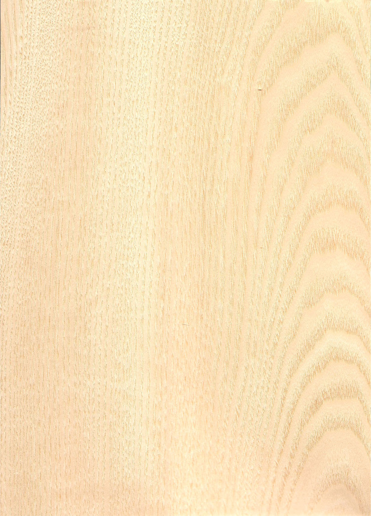 RECHAPADO AGLOMERADO FRESNO 1/CARA 1ª 11mm 2600x1220
