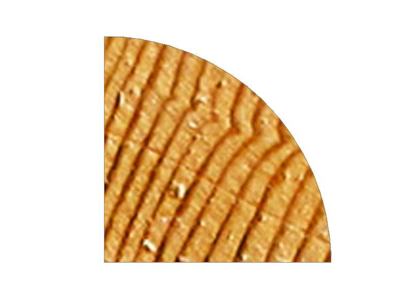 JUNQUILLO PINO GALLEG.10x10 L=2500 Pte.40