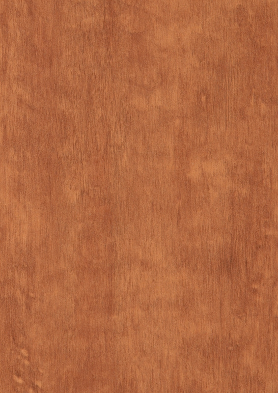 FUNDERMAX AFRO NATURAL 161 EXTERIOR 8mm 2800x1850