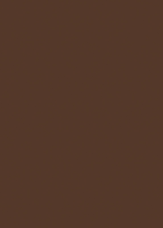 EGGER CHOCOLATE U818 ST9 19mm 2800x2070