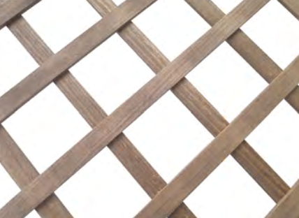 CELOSIA PINO-PINTA.MARRON F1 CLASICA 2180x850