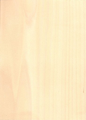 CHAPA EMPALMADA HAYA