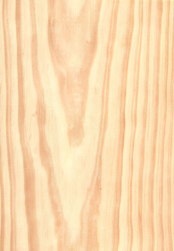 RECHAPADO-AGL.PINO GALLEGO2/C1ª 9mm 2440x1220