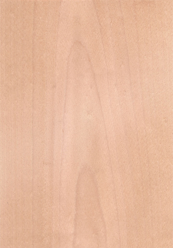 RECHAPADO-AGL.HAYA VAPOR-1/C1ª 11mm 2600x1220