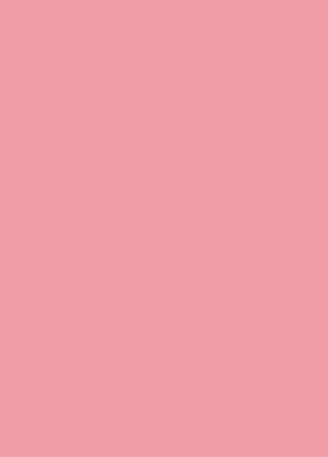 EGGER ROSA FLAMINGO U363 ST9 19mm 2800x2070