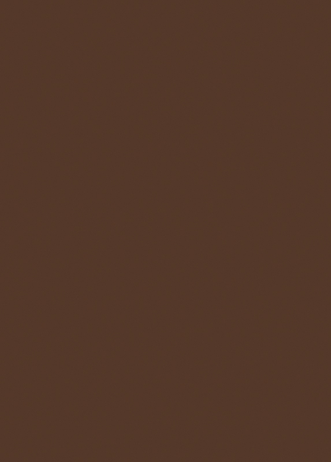 EGGER CHOCOLATE U818 ST9 19mm 2800x2070